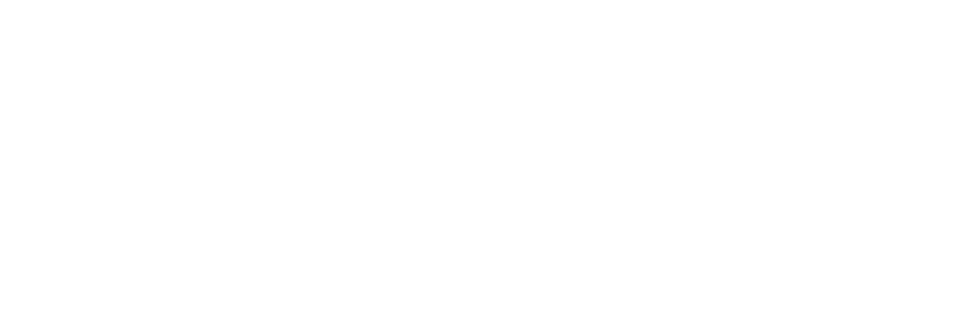 Big Fitness Logo